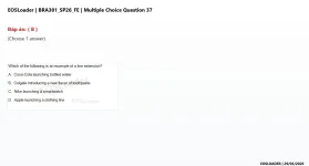 37.webp