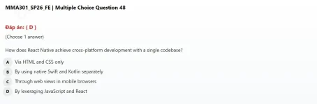 48.webp