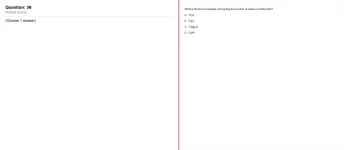 Q_036.webp