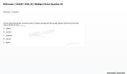 mc_question_38.webp
