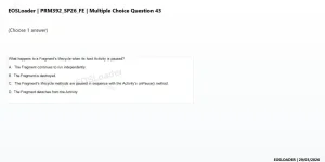 Q_042.webp