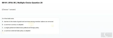 IBI101 SP26 FE RE_028.webp