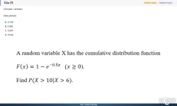 MAS291 SP26 B5 FE_023.webp