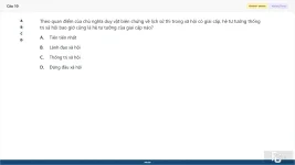 MLN111 SP26 FE_10.webp