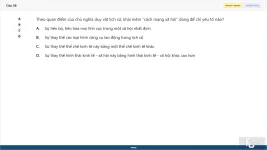 MLN111 SP26 FE_58.webp