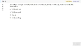MLN111 SU26 FE_029.webp