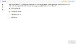 MLN111 SU26 FE_044.webp