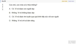 MLN111 SU26 FE_058.webp