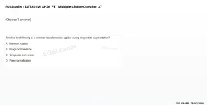 mc_question_37.webp