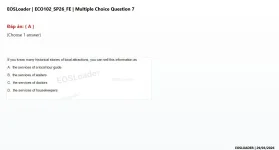 Q_007.webp