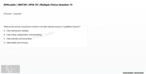 mc_question_13.webp