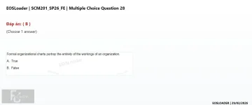 Q_028.webp
