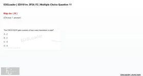 Q_039.webp