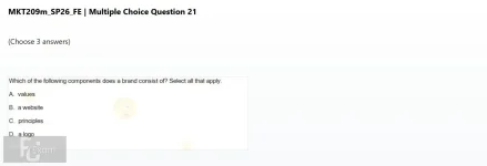 Q_021.webp
