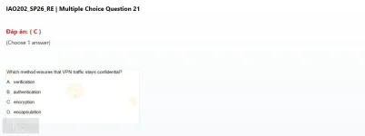 IAO202 SP26 FE RE_021.webp