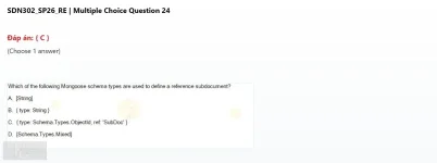 SDN302 SP2026 FE RE_024.webp