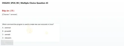OSG203 SP26 FE RE_43.webp
