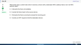 NWC204 SP26 FE_026.webp