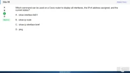 NWC204 SP26 FE_035.webp