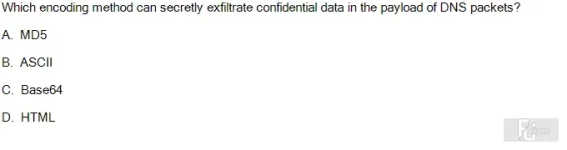 Question 37.webp