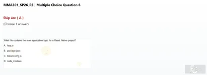 MMA301 SP26 FE RE_006.webp