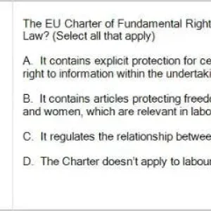 LAW201c SP26 FE_043.webp