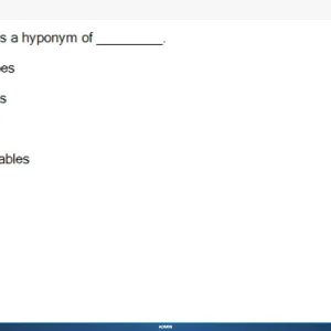 NLP301c SP26 FE_027.webp