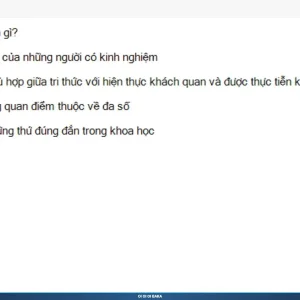 MLN111 SP26 B5 FE RE_011.webp