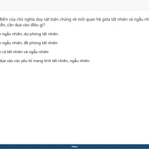 Media 'MLN111 SP26 FE_03.webp' in category 'MLN111'