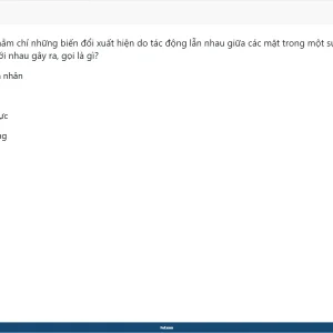 Media 'MLN111 SP26 FE_11.webp' in category 'MLN111'
