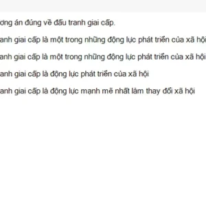 MLN111 SU26 FE_039.webp