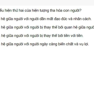 MLN111 SU26 FE_060.webp