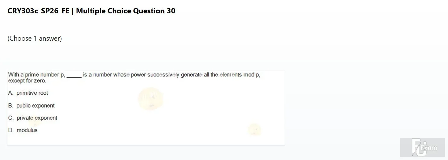 CRY303c SP26 FE_035.webp