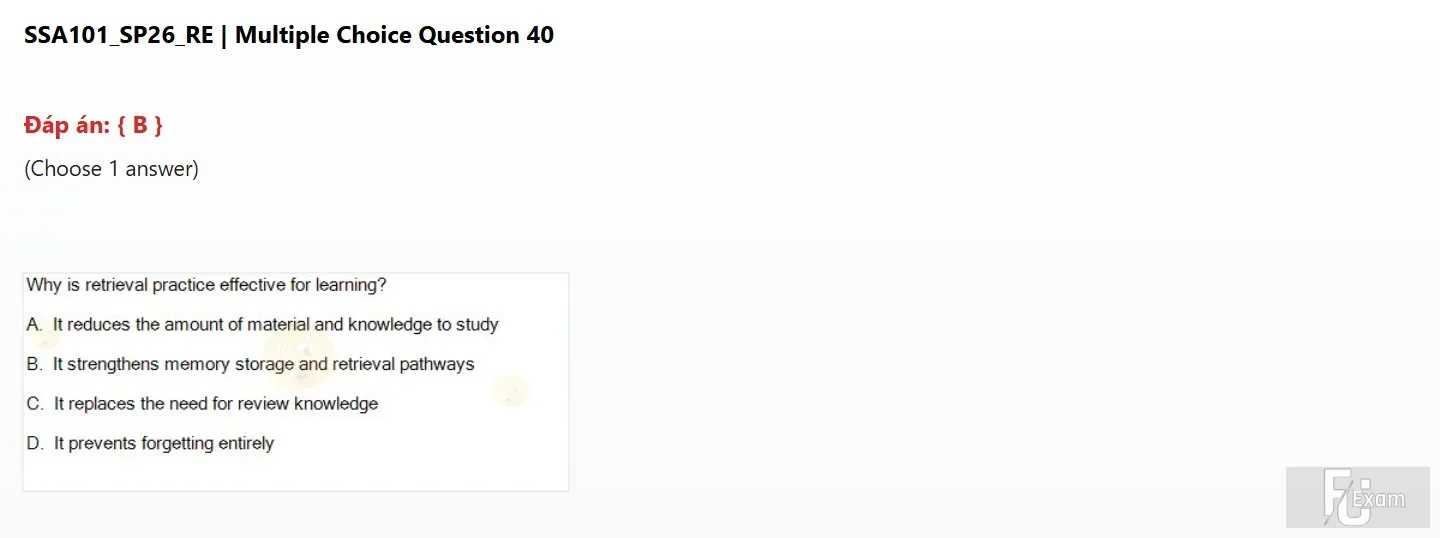 SSA101 SP26 FE RE_040.webp